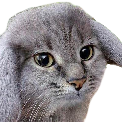cabbit.me logo